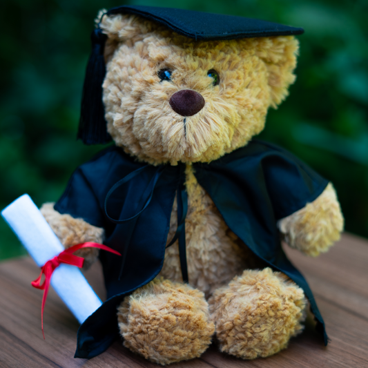 Graduation Bear
