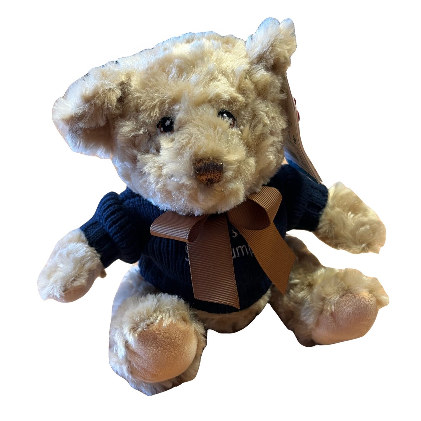 Dougie Bow Bear