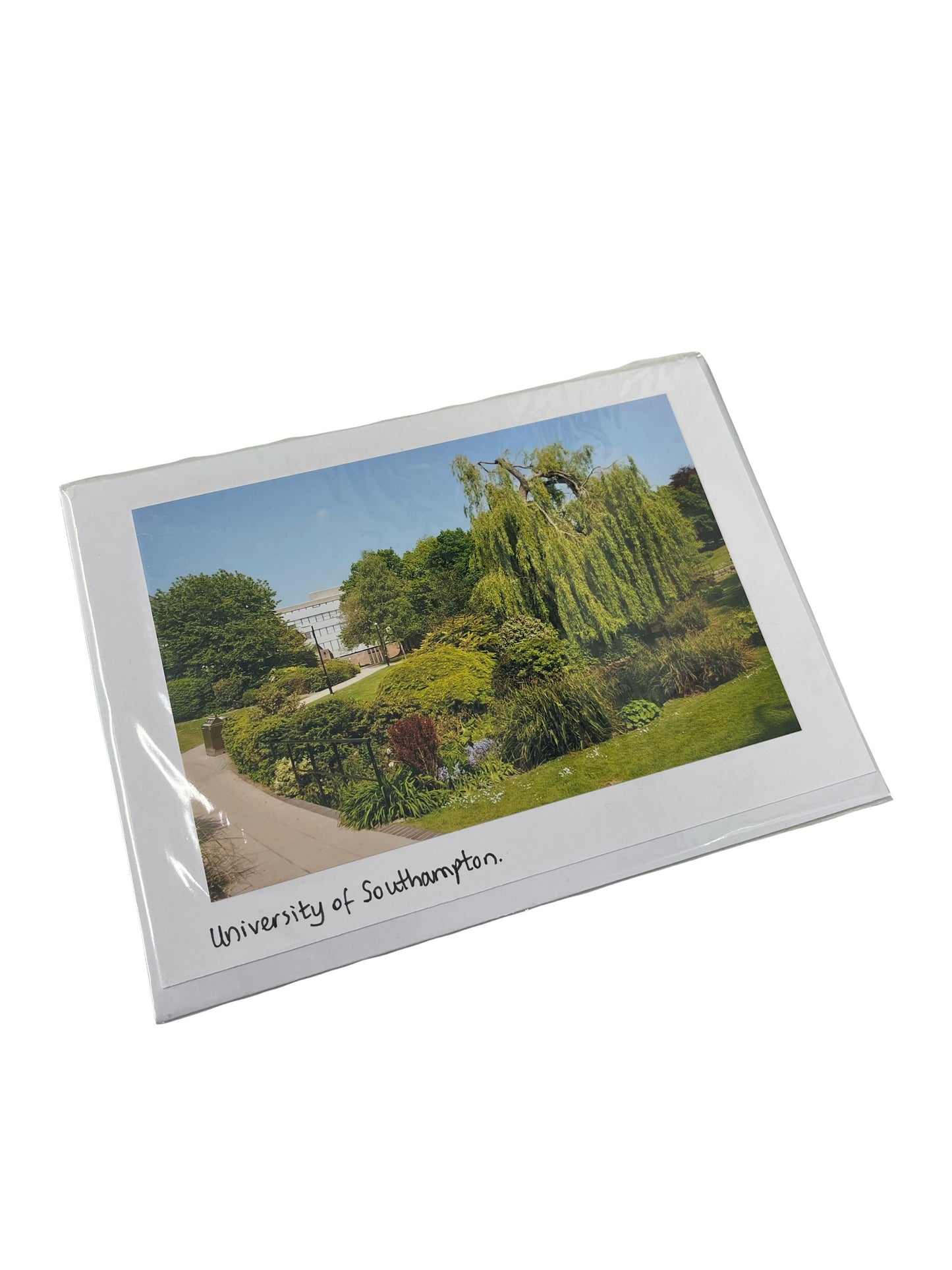 Photographic Greeting Card