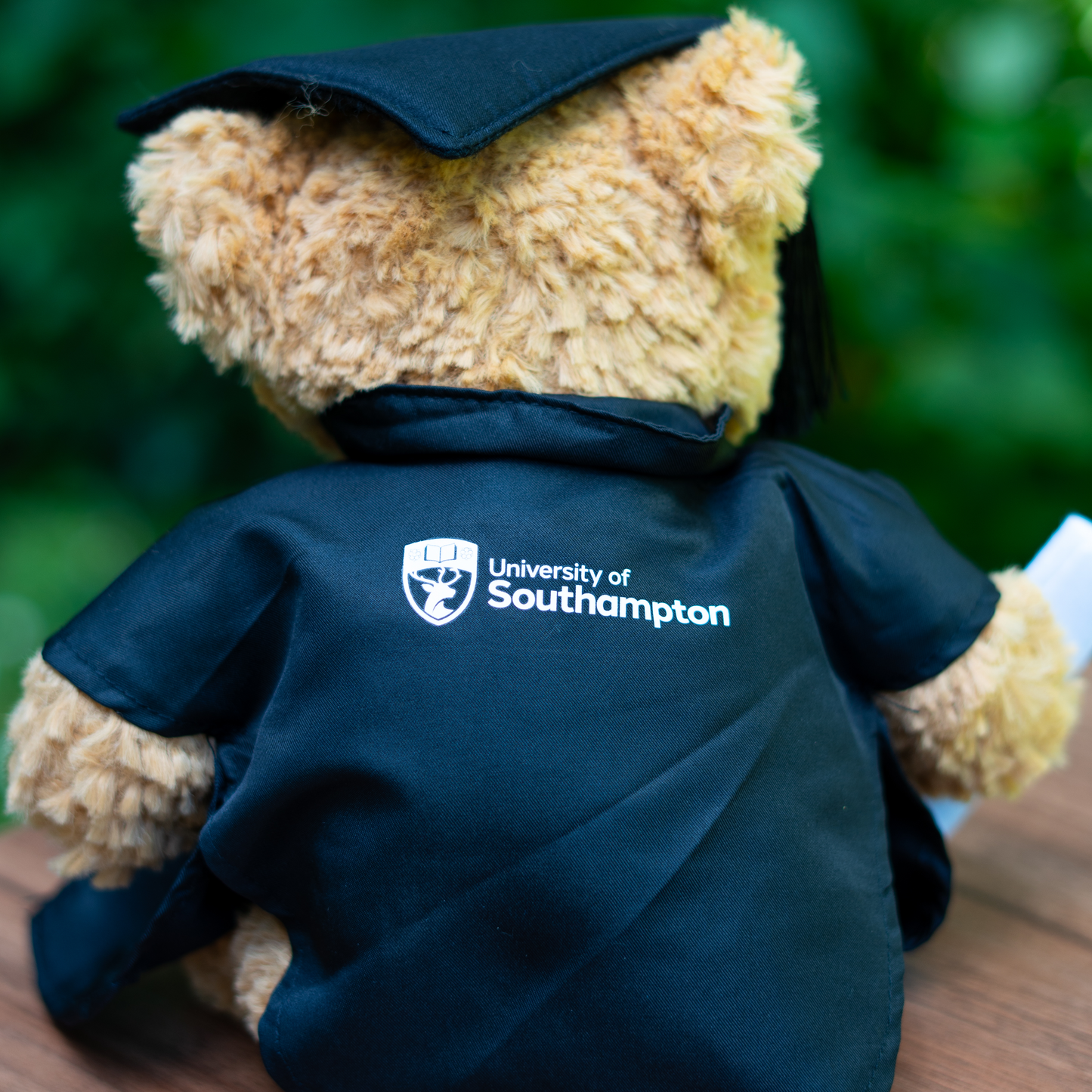 Graduation Bear