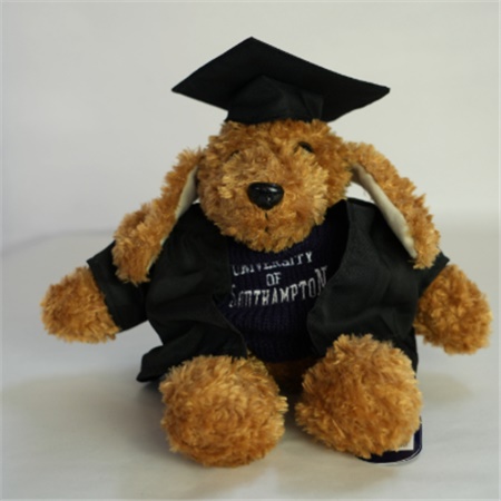 Graduation Floppy Dog.jpg